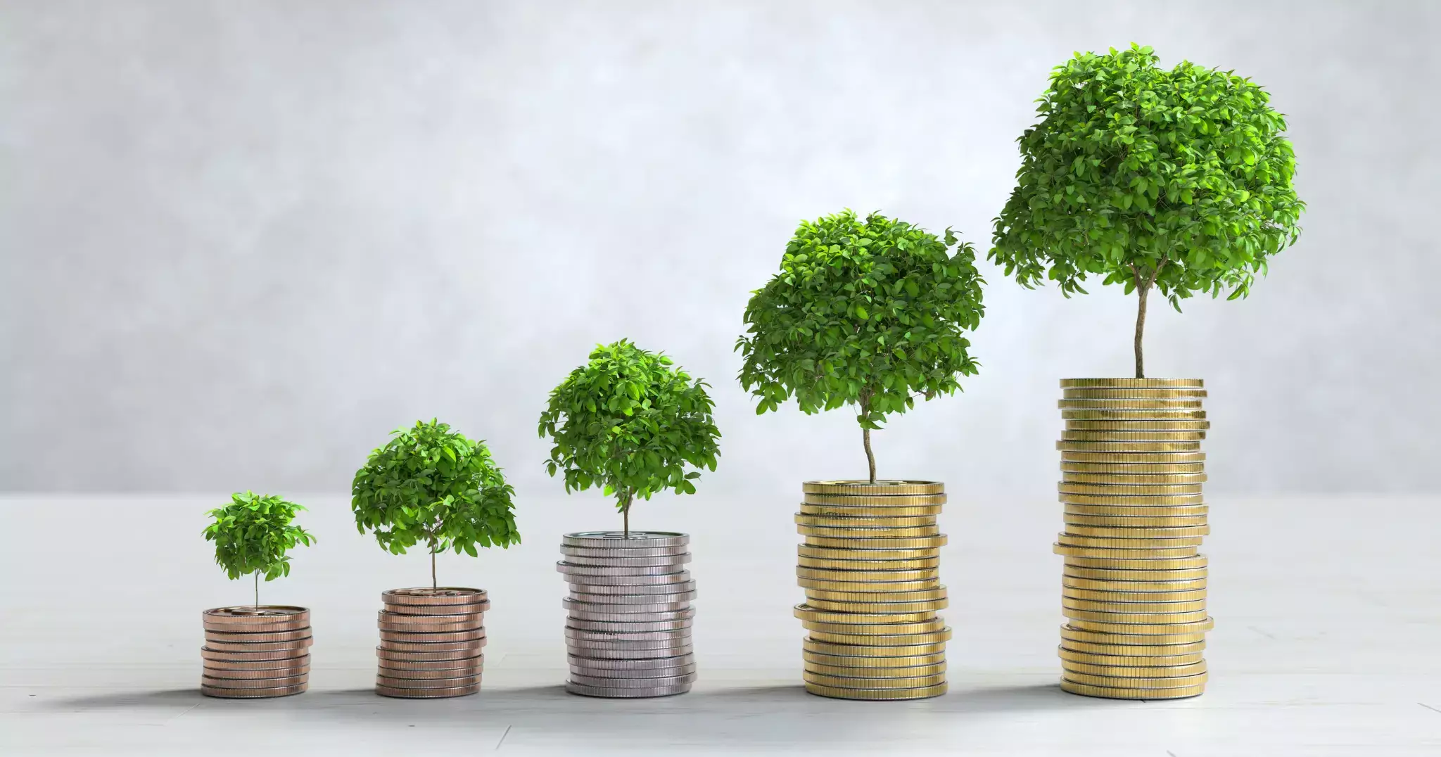 Croissance financière symbolisée par des arbres plantés sur des piles de pièces, illustrant l’investissement durable et la rentabilité à long terme dans les énergies renouvelables.