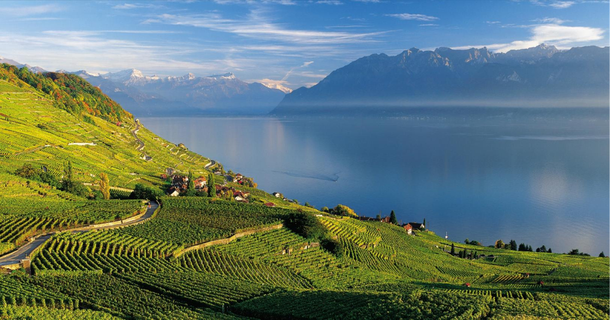 Paysage du canton de Vaud avec les vignobles en terrasses de Lavaux surplombant le lac Léman et les Alpes, illustrant une région idéale pour des installations solaires photovoltaïques en Suisse romande.